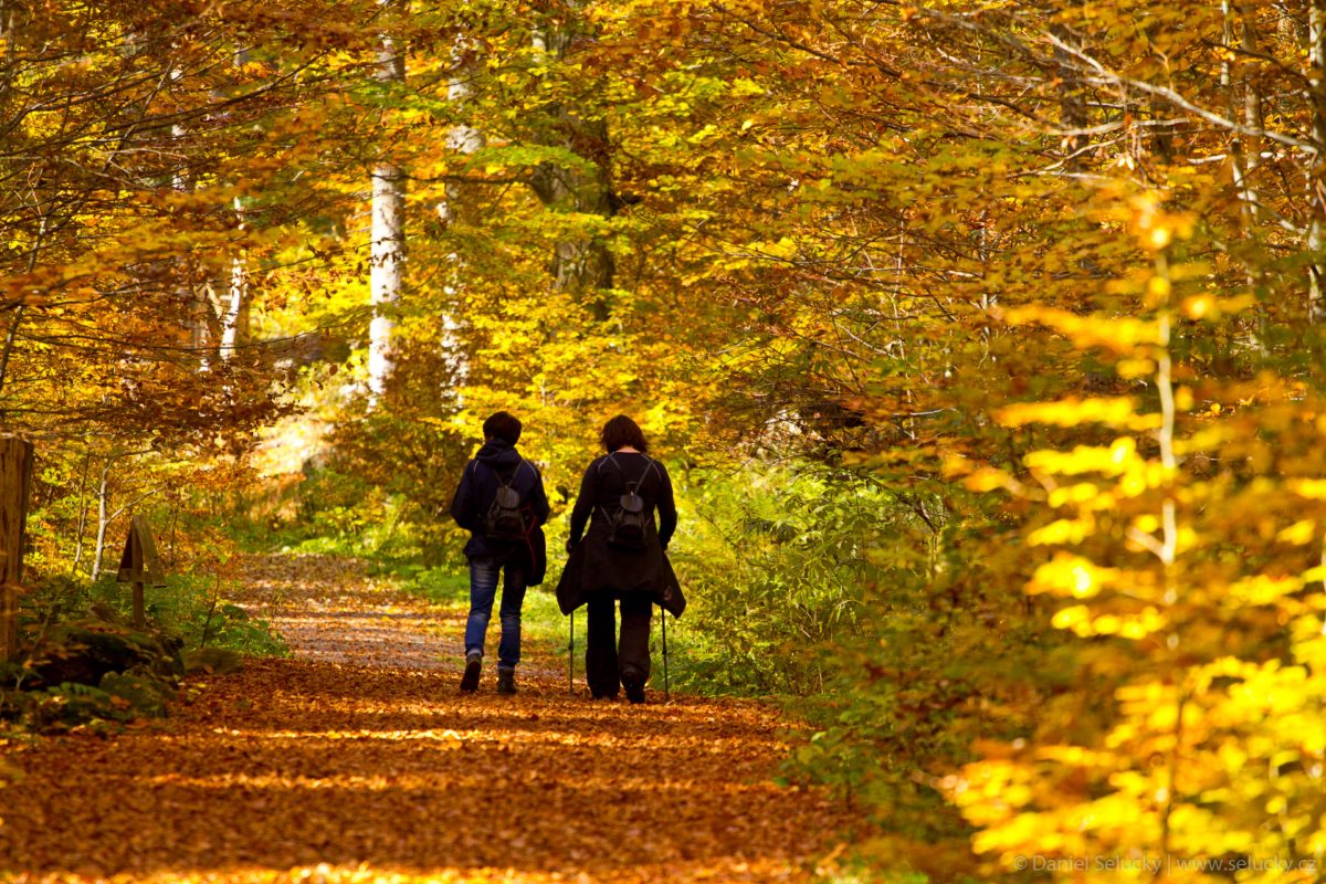 Zvýhodněné podzimní pobyty s grilováním